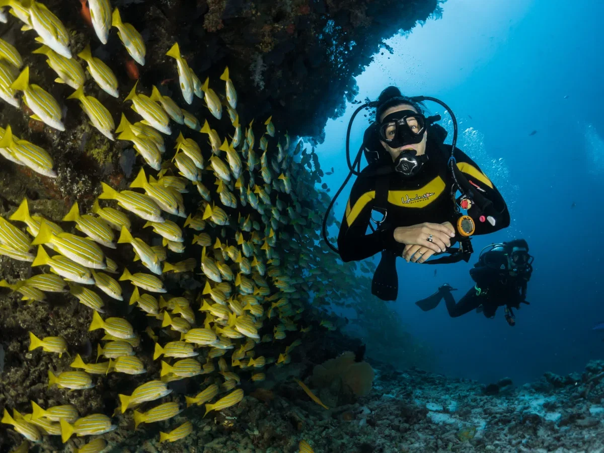 Buceo en el Caribe